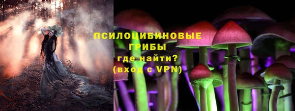 каннабис Арсеньев