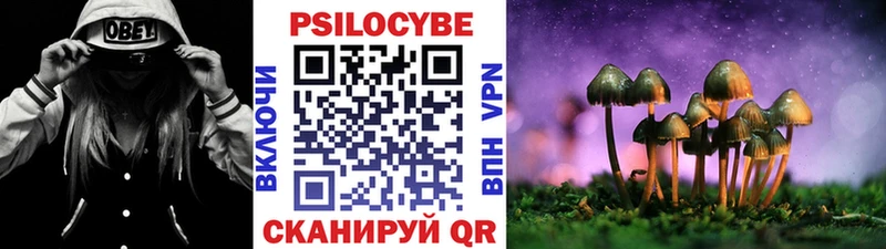Галлюциногенные грибы прущие грибы  Купить закладки  Верхний Тагил 